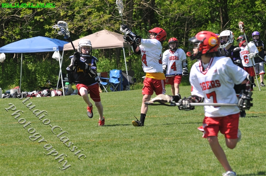Guilderland Lacrosse Jamboree