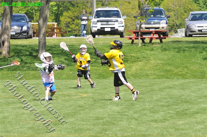 Guilderland Lacrosse Jamboree
