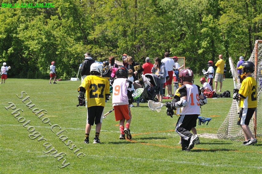 Guilderland Lacrosse Jamboree