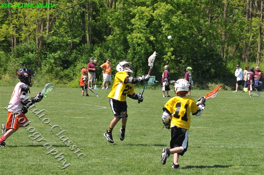 Guilderland Lacrosse Jamboree