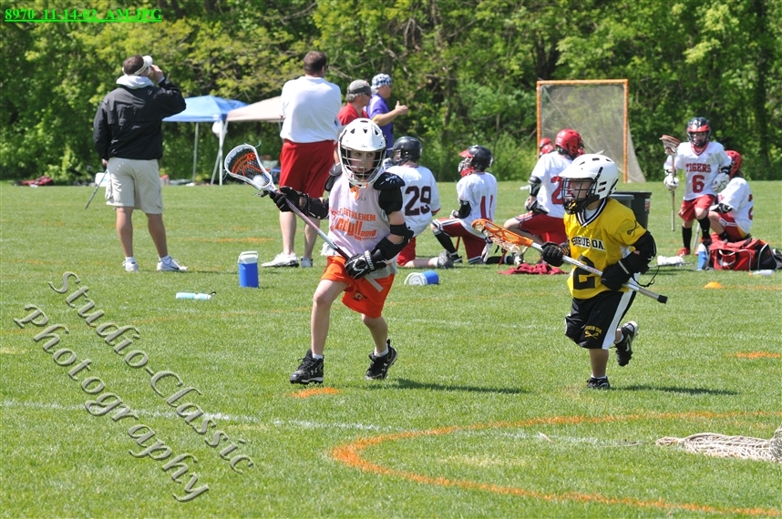 Guilderland Lacrosse Jamboree