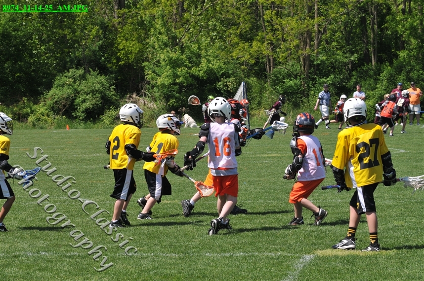 Guilderland Lacrosse Jamboree