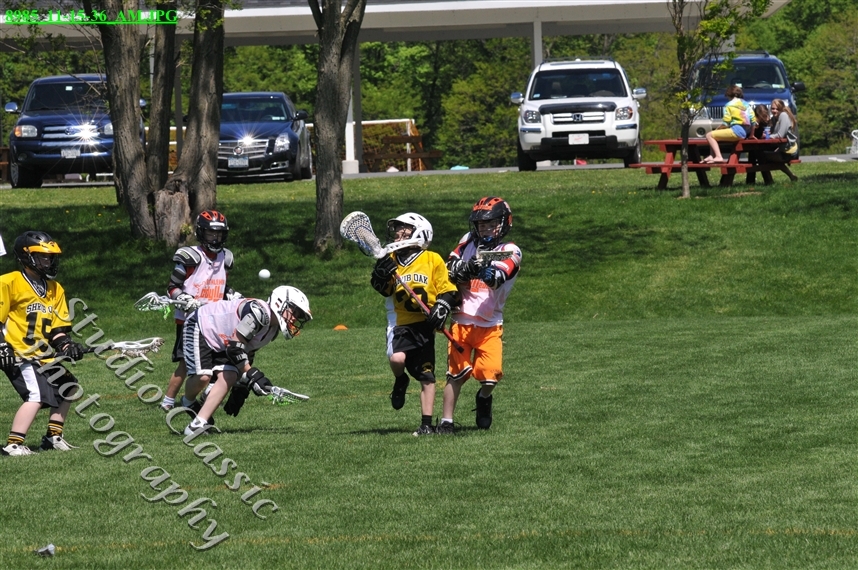 Guilderland Lacrosse Jamboree