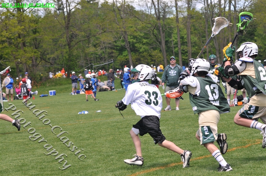 Guilderland Lacrosse Jamboree