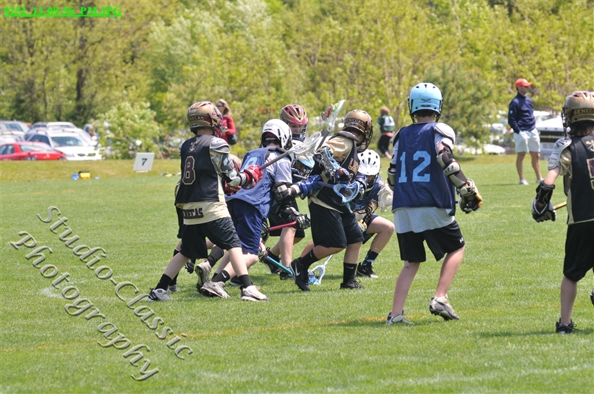 Guilderland Lacrosse Jamboree