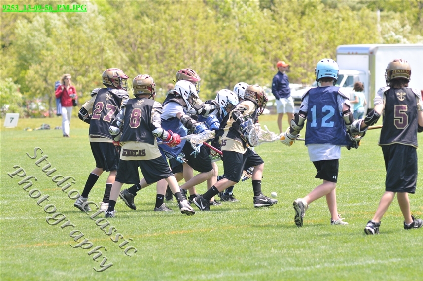Guilderland Lacrosse Jamboree