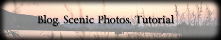 blog cleint site