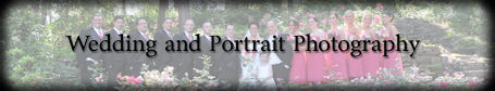 Wedding client site