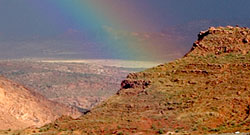 Optical Zoom