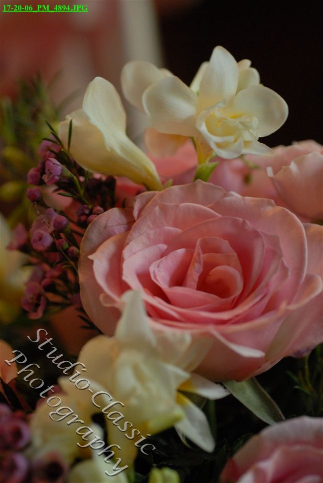 Troy Wedding