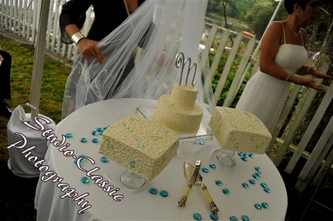 Cooperstown Wedding