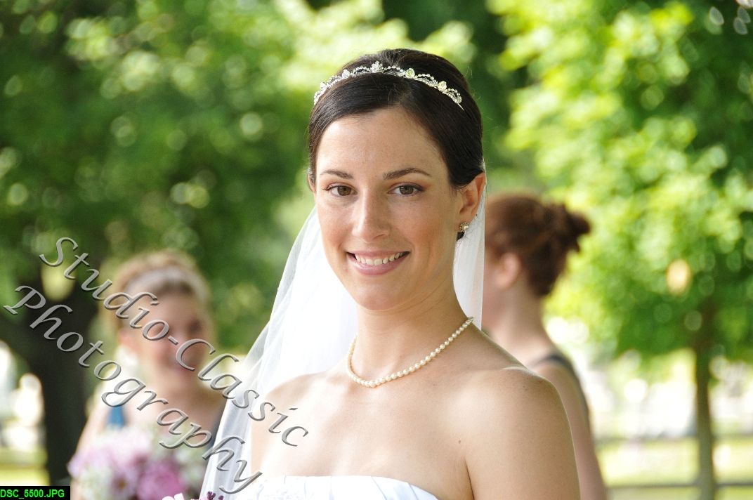 Troy Wedding 