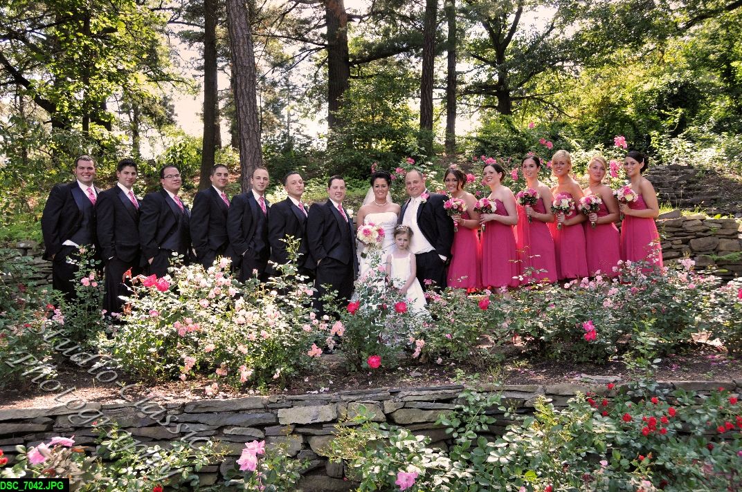 Schenectady Wedding 
