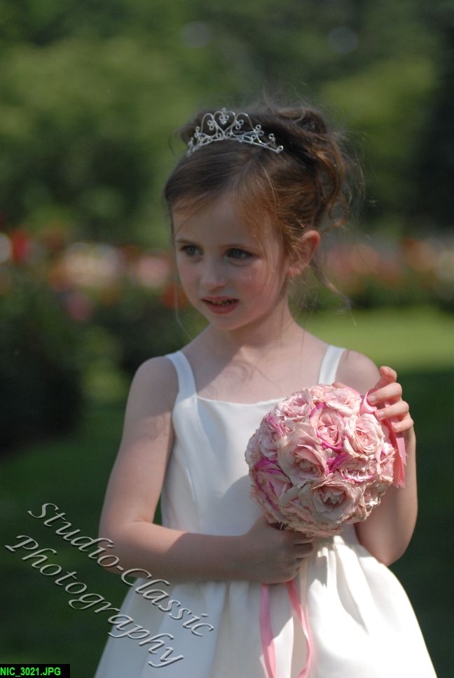 Schenectady Wedding 