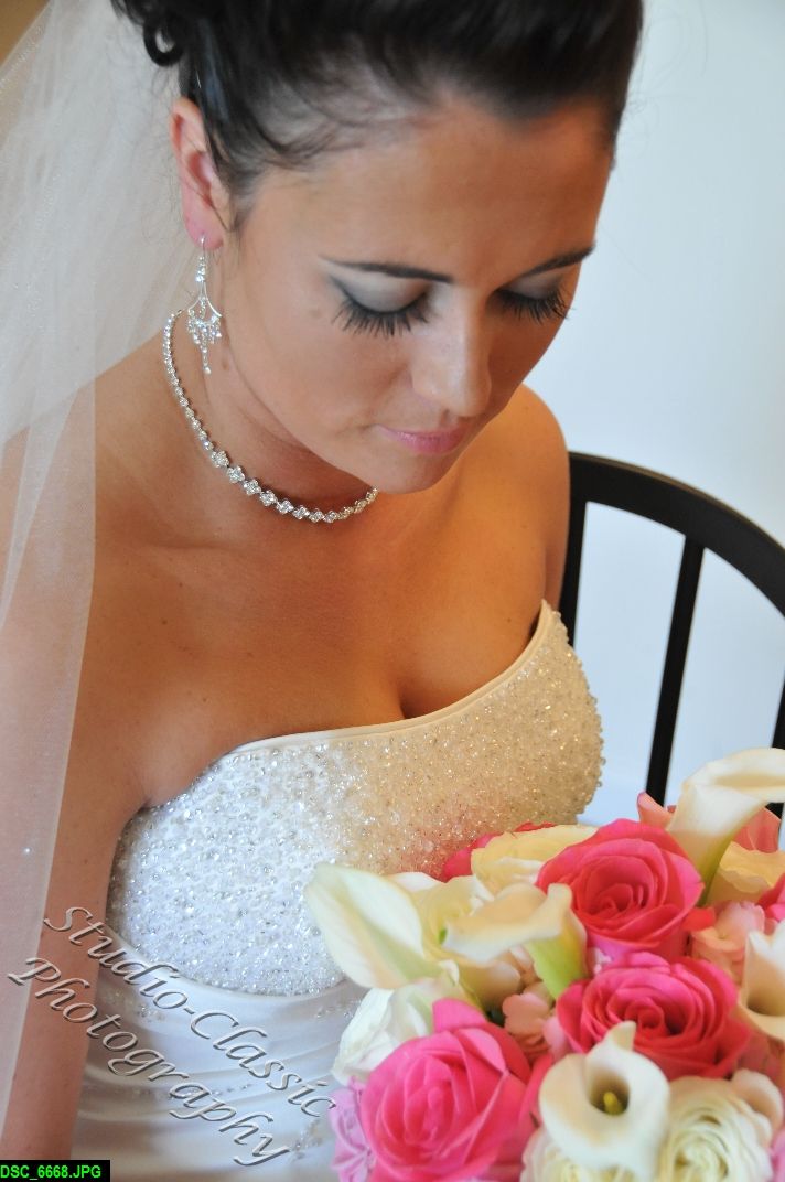 Schenectady Wedding 