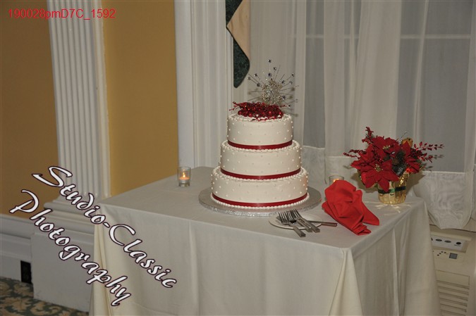 Schenectady Wedding Reception