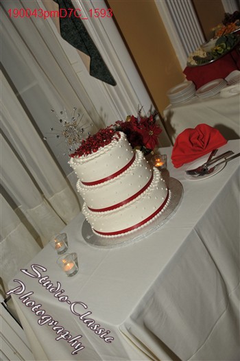Schenectady Wedding Reception