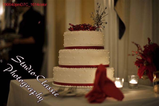 Schenectady Wedding Reception