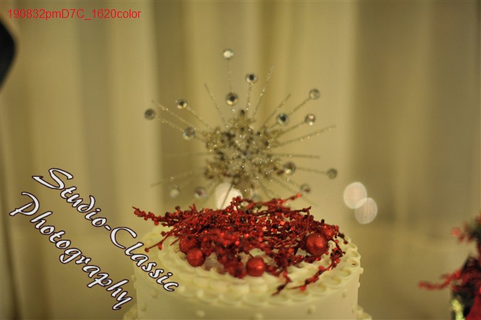 Schenectady Wedding Reception