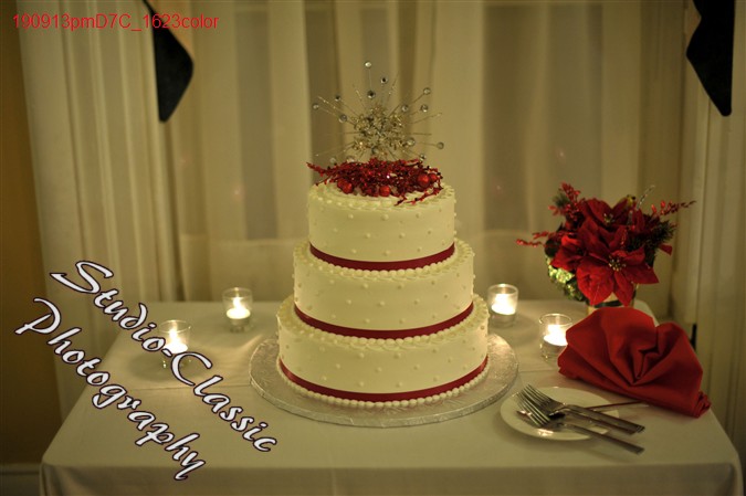 Schenectady Wedding Reception