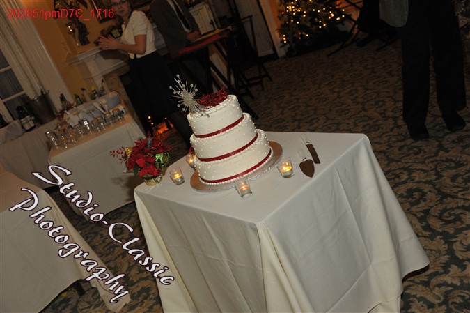 Schenectady Wedding Reception