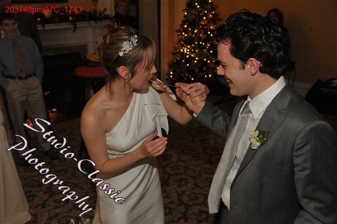 Schenectady Wedding Reception