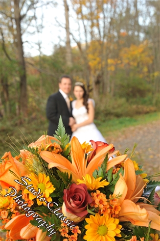 Stamford Wedding