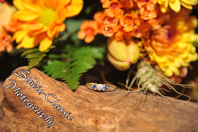 Stamford Wedding