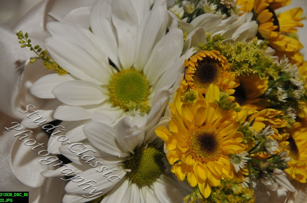 Cobleskill Wedding