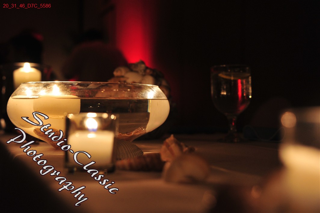 Wedsding Reception