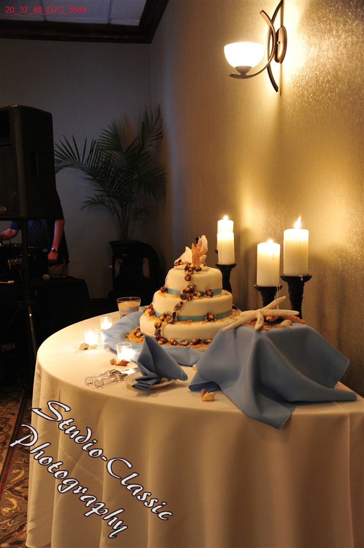 Wedsding Reception