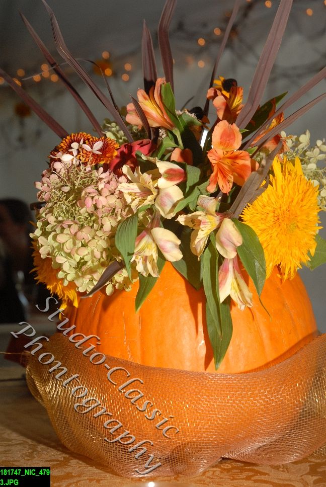 Maryville Wedding
