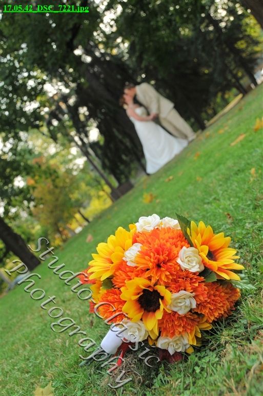 Troy Wedding
