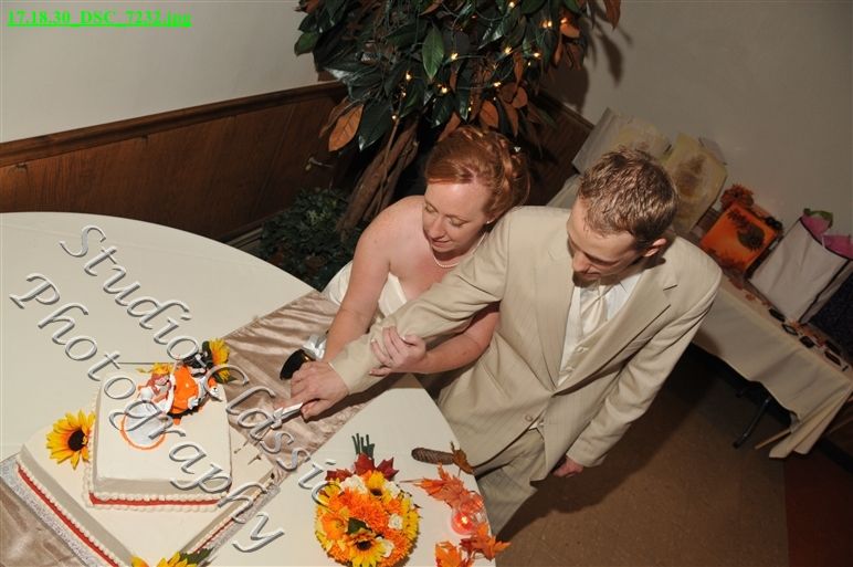 Troy Wedding