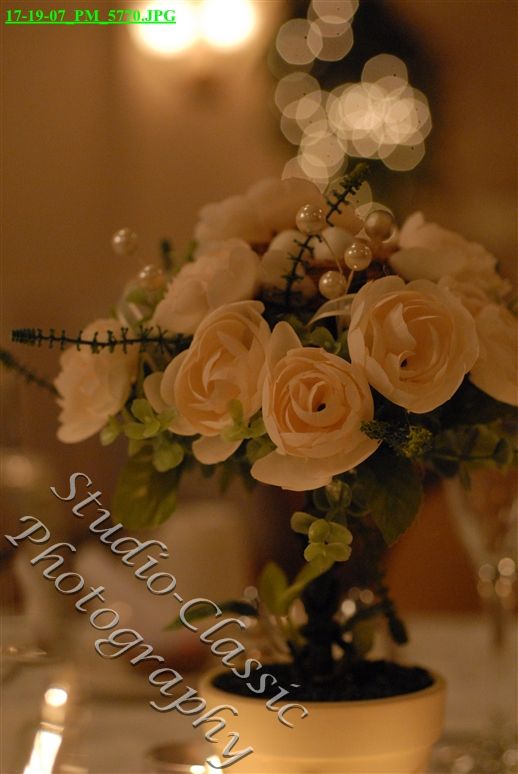 Maryville Wedding