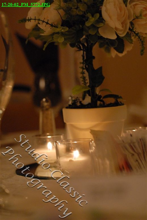 Maryville Wedding