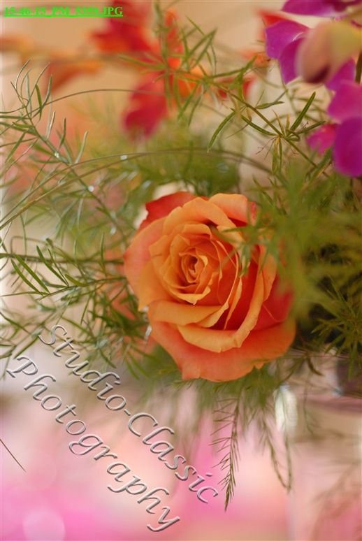 VirginiaWedding