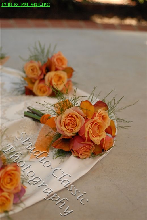 VirginiaWedding