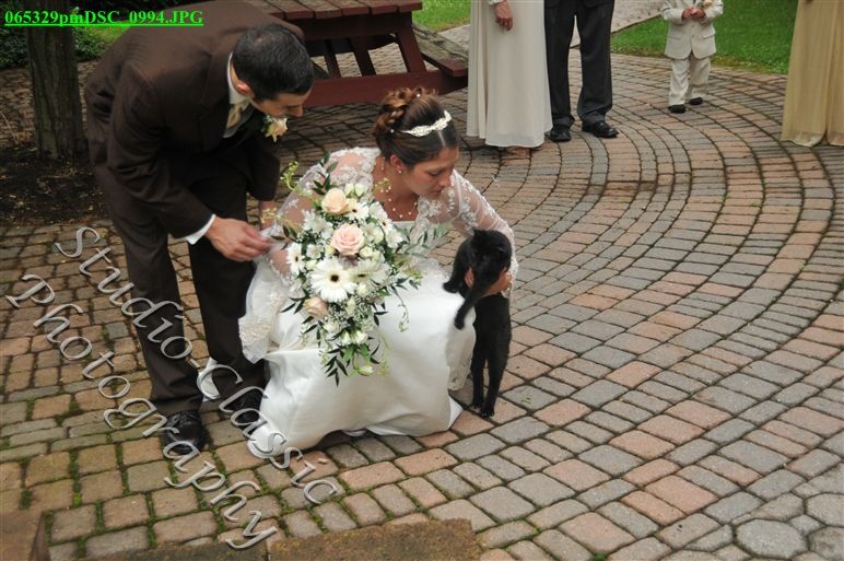 Maryville Wedding