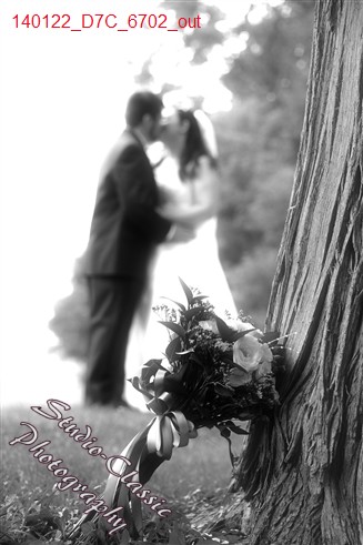 Schoharie Wedding